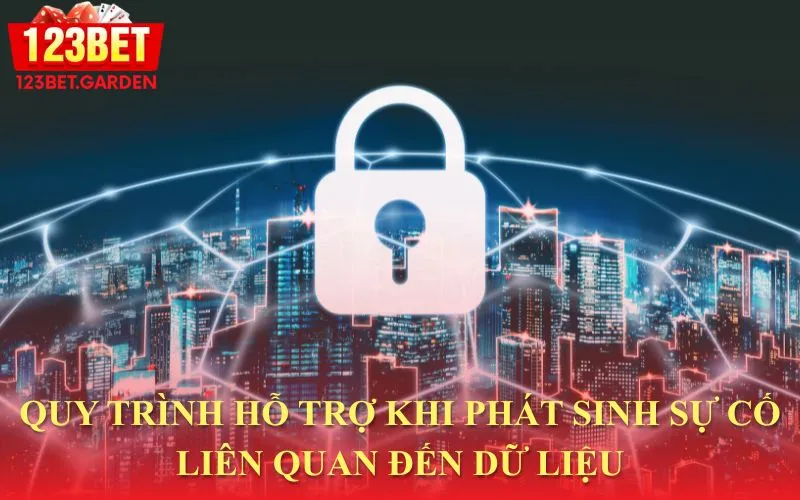 Các bước xử lý khi xảy ra vấn đề liên quan đến dữ liệu cá nhân